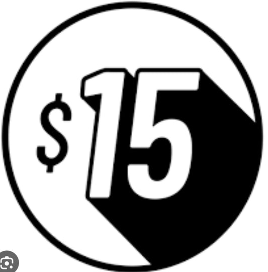 $15 Items